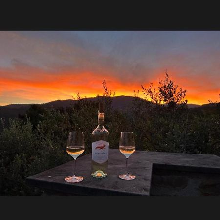 Il Gabbiano Di Pieve Bed & Breakfast Pieve Ligure Eksteriør bilde