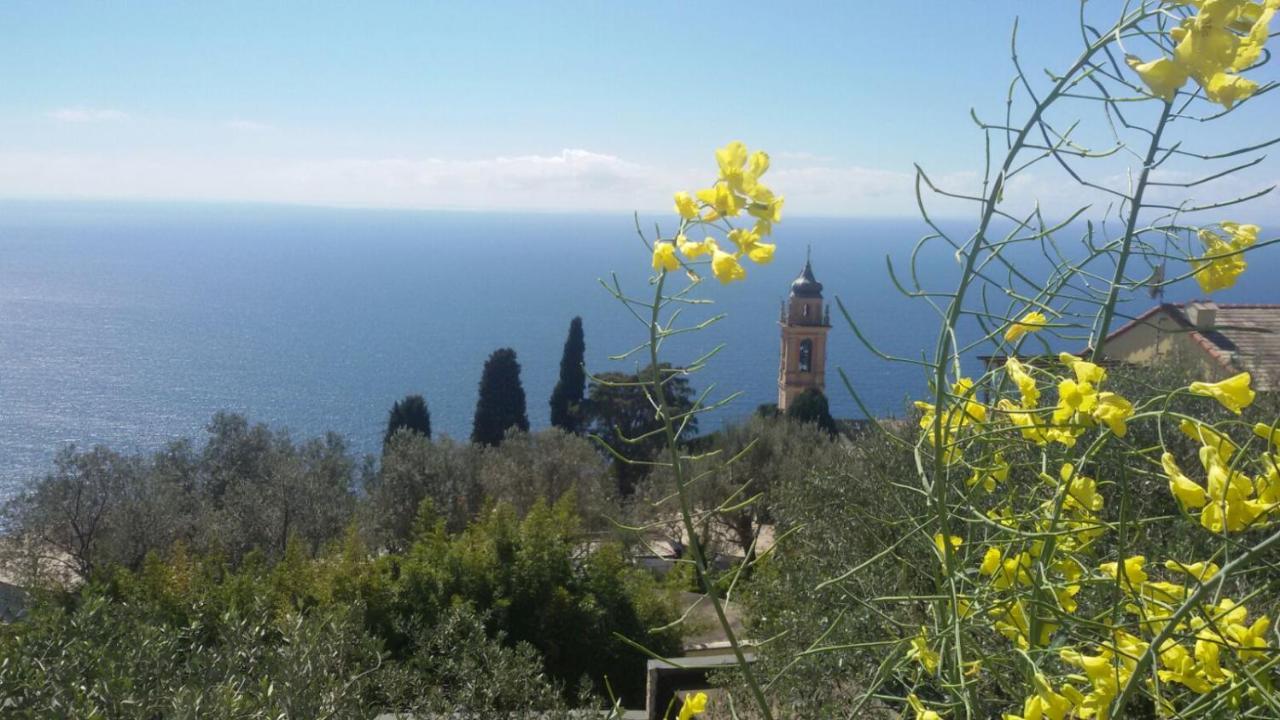 Il Gabbiano Di Pieve Bed & Breakfast Pieve Ligure Eksteriør bilde