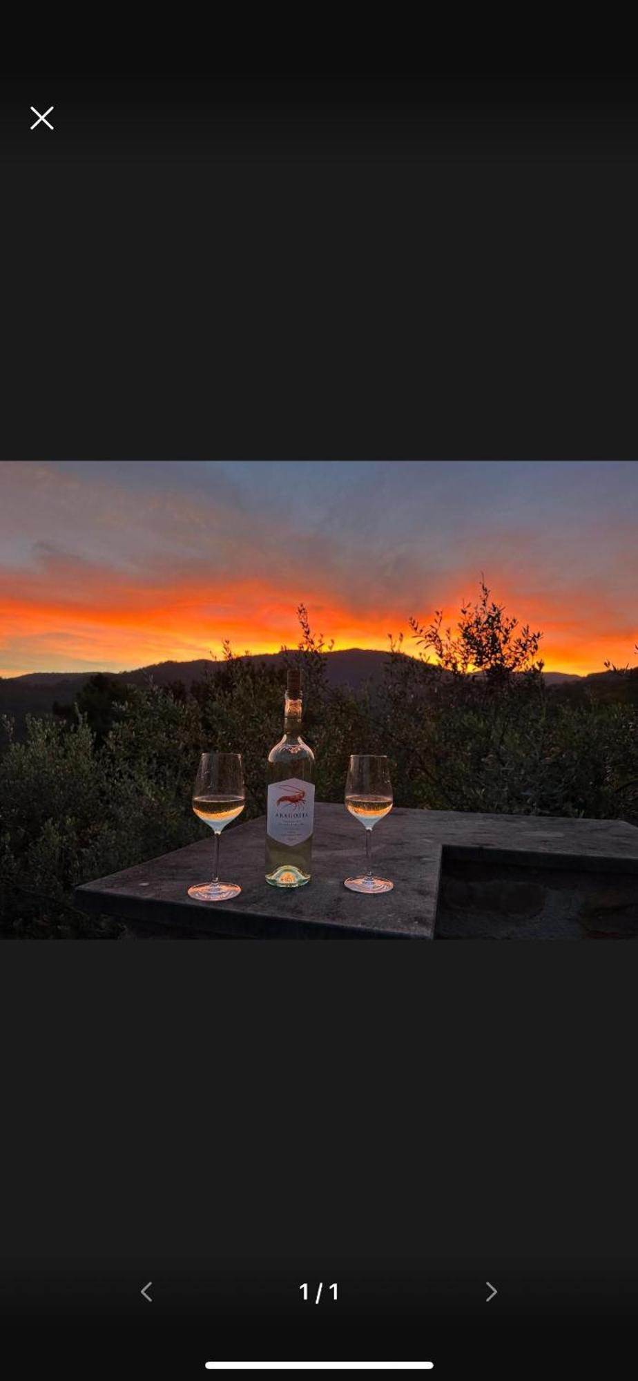 Il Gabbiano Di Pieve Bed & Breakfast Pieve Ligure Eksteriør bilde