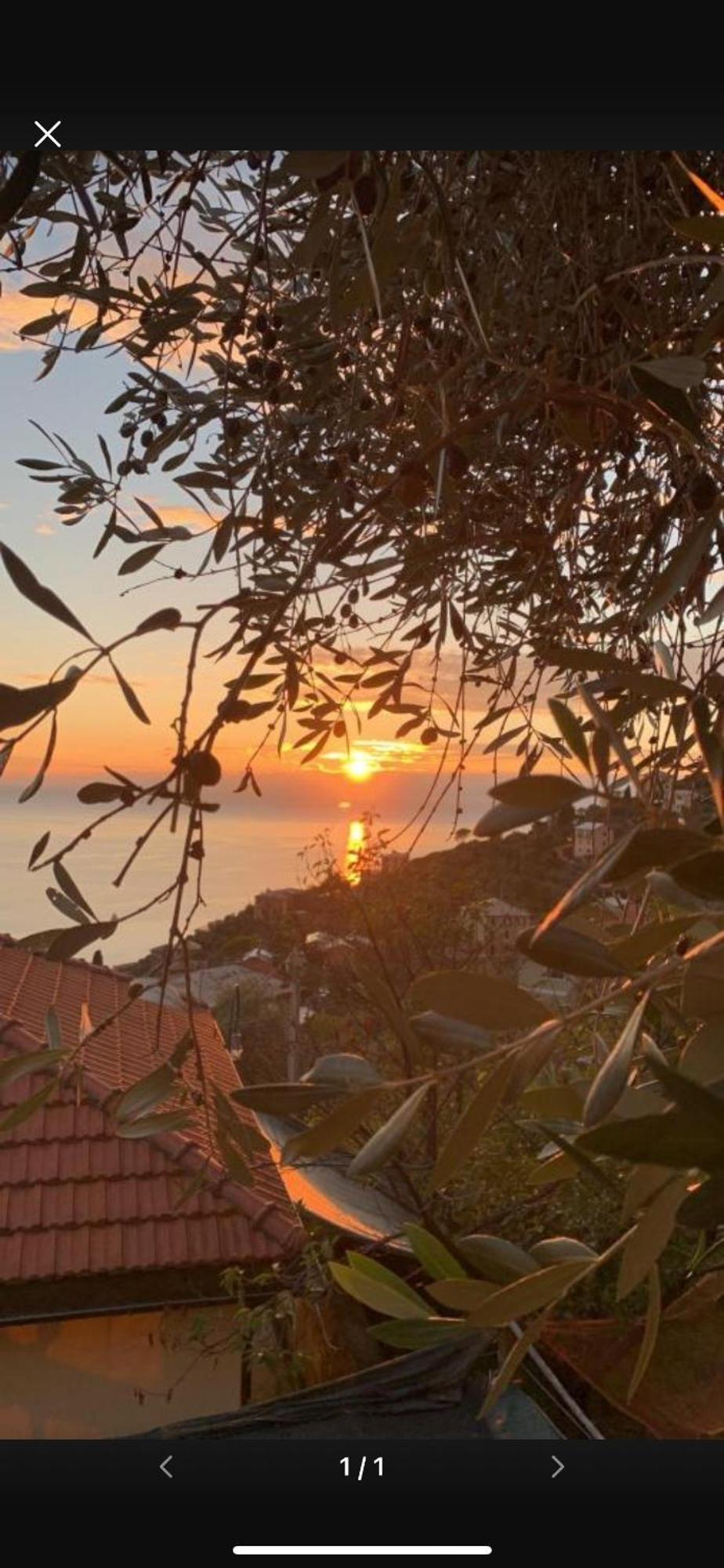 Il Gabbiano Di Pieve Bed & Breakfast Pieve Ligure Eksteriør bilde