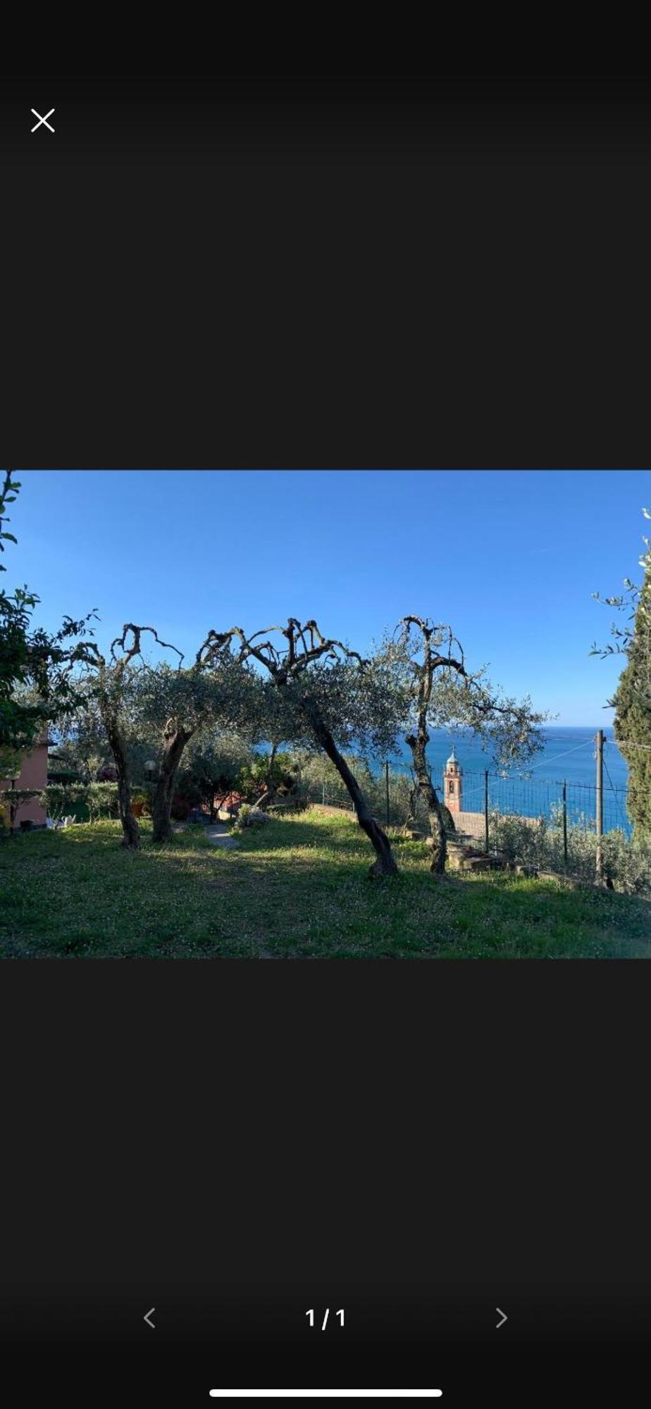 Il Gabbiano Di Pieve Bed & Breakfast Pieve Ligure Eksteriør bilde