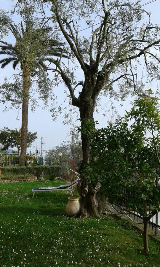 Il Gabbiano Di Pieve Bed & Breakfast Pieve Ligure Eksteriør bilde